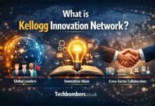 Kellogg Innovation Network