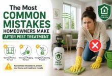 Most Common Mistakes Homeowners Make After Pest Treatment