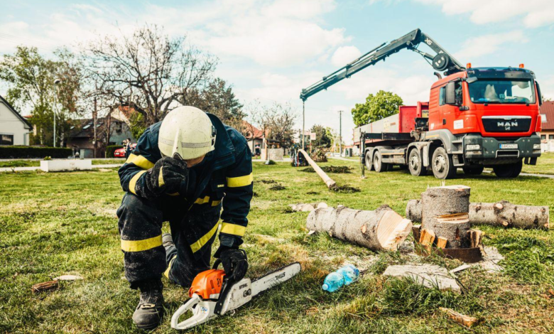 7 Essential Checklist Items Before Hiring an All-Season Arborist Specialist